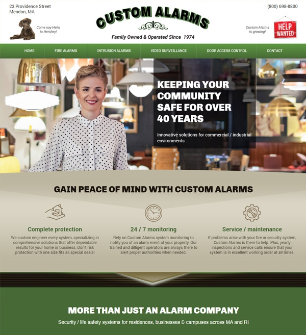 Website Design for Custom Alarms
